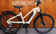 Rower elektryczny Cresta Corso Neo. D 49 RATY