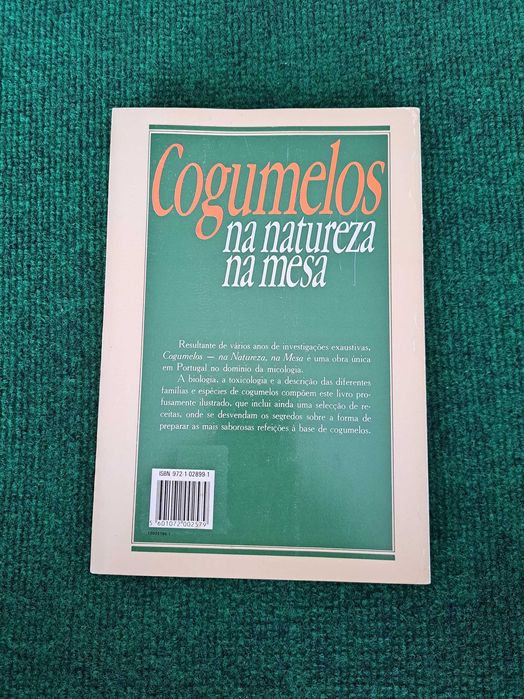 Cogumelos na natureza na mesa - Berta Fernandes