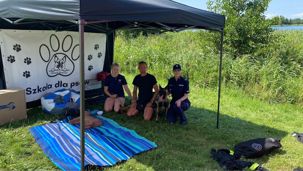 Owczarek belgijski malinois FCI zapowiedz miotu
