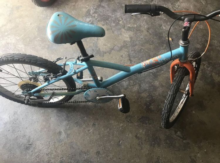 Bicicleta roda20