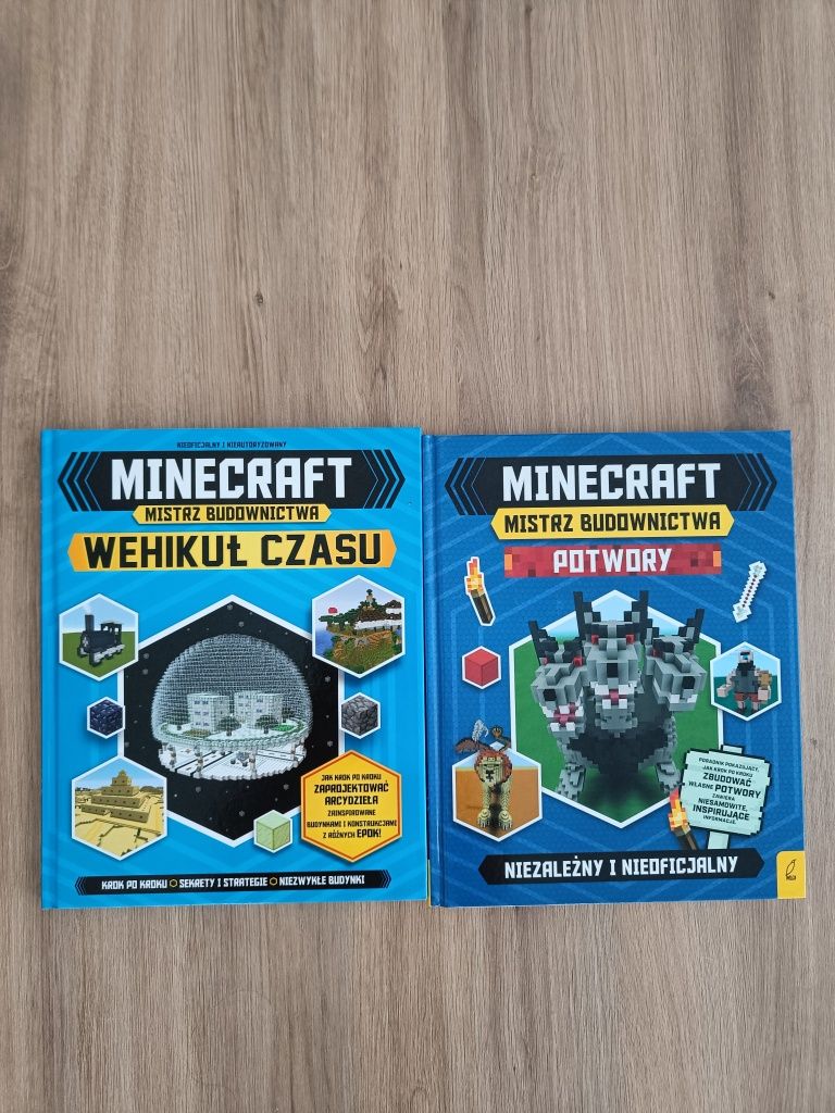 Mistrz budownictwa Minecraft