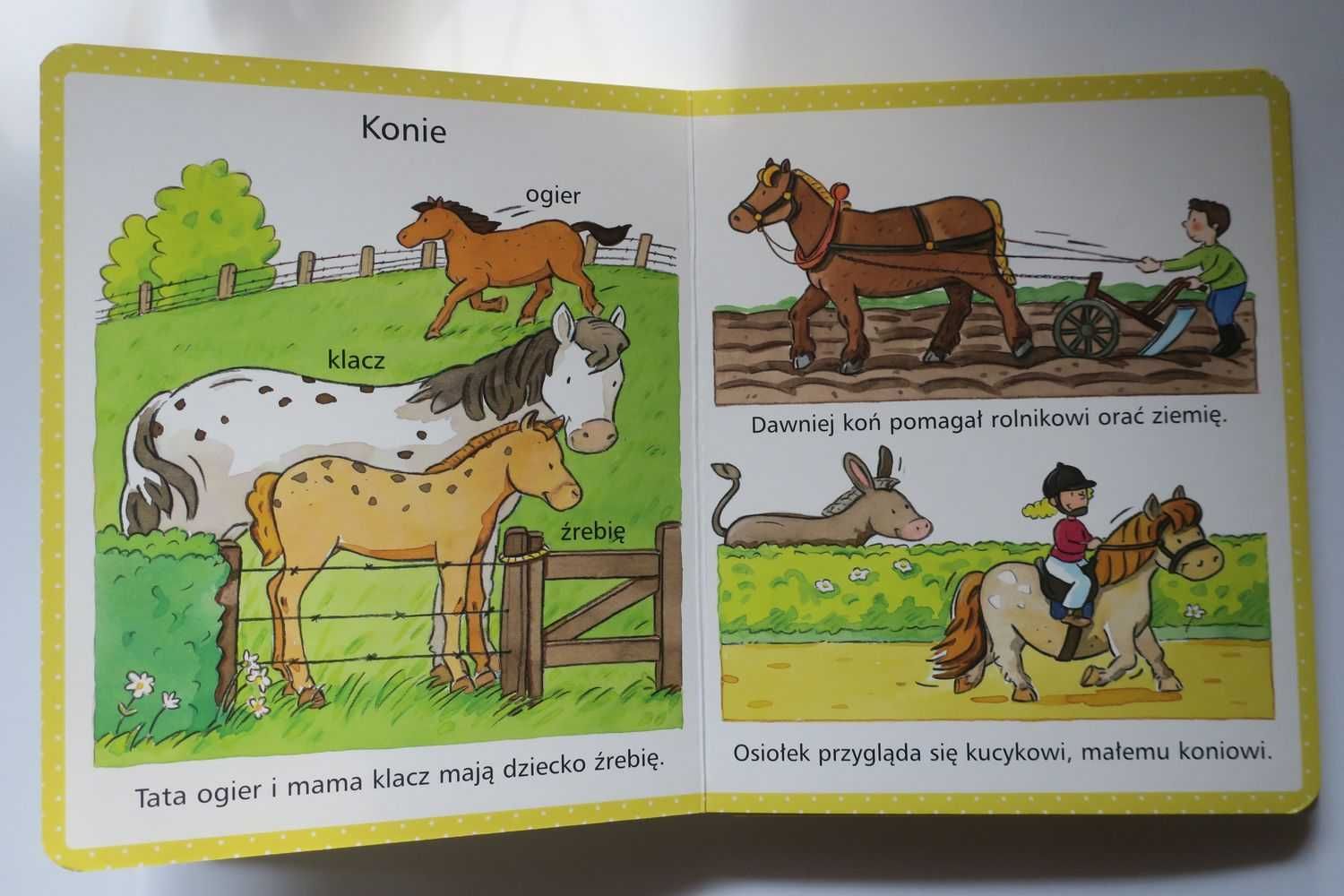 Obrazki dla maluchów Wieś E. Beaumont