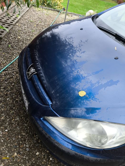 Peugeot 307 1.6 benzyna/gaz 2005