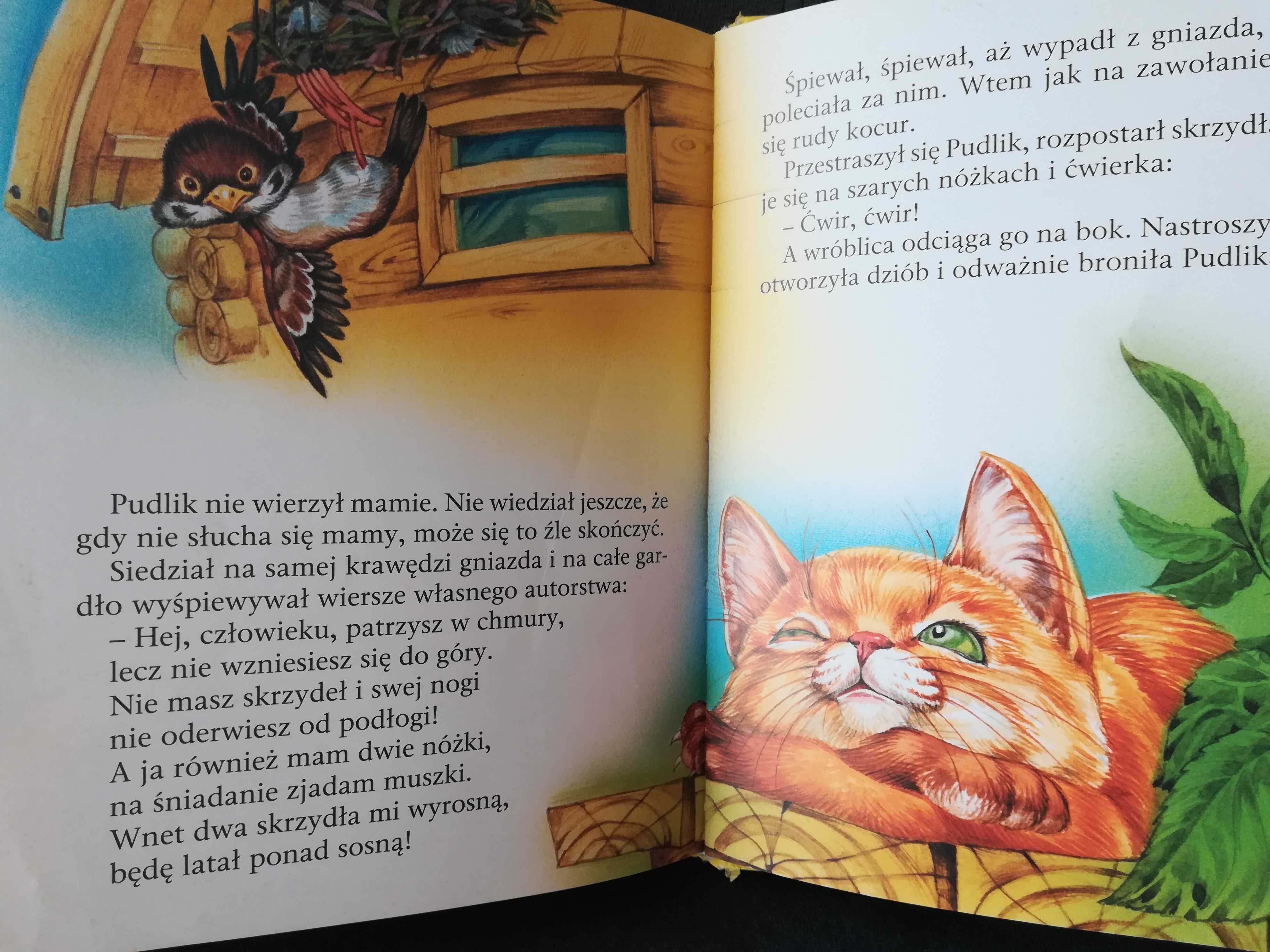 Książka dla dzieci Nowe bajki o niesfornych zwierzątkach