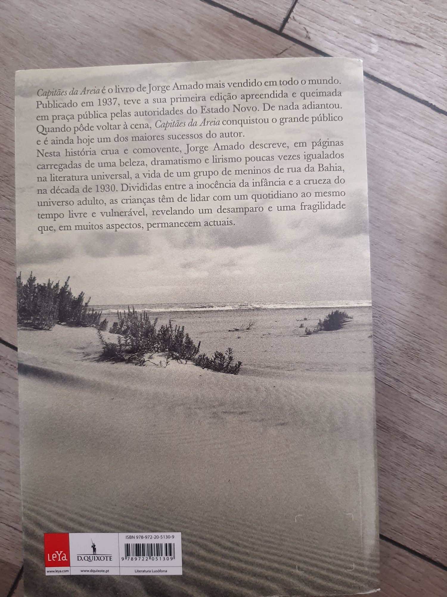 Livro Capitães da Areia