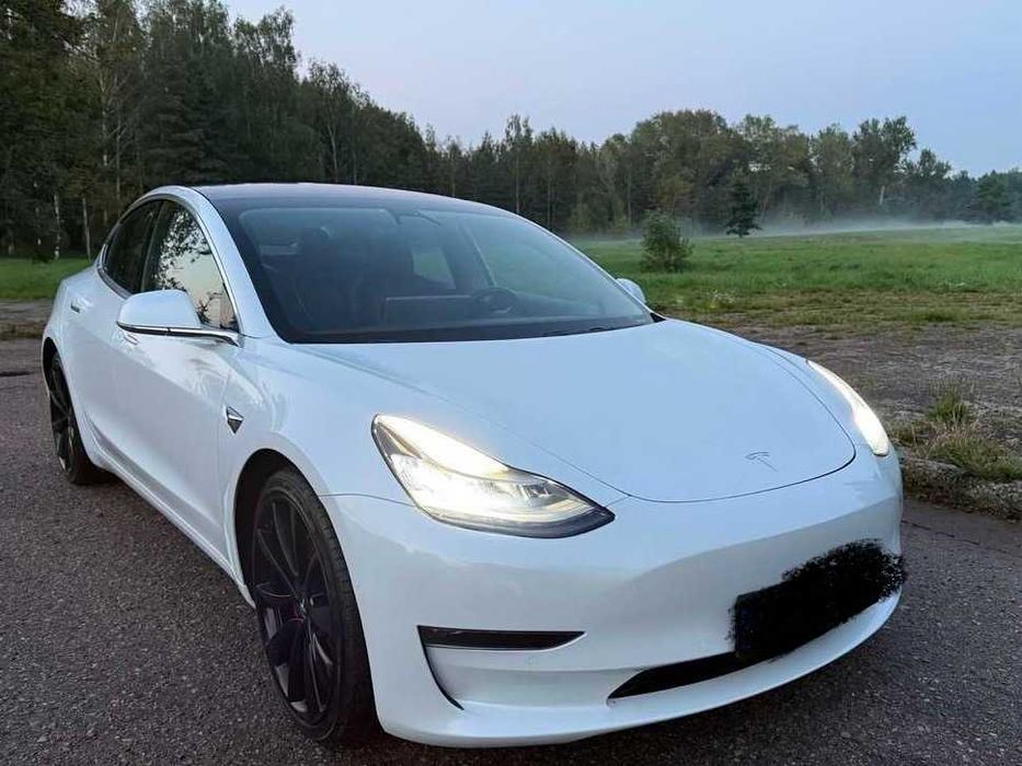 Tesla Model 3 2019 року, 81 kWh (Performance)