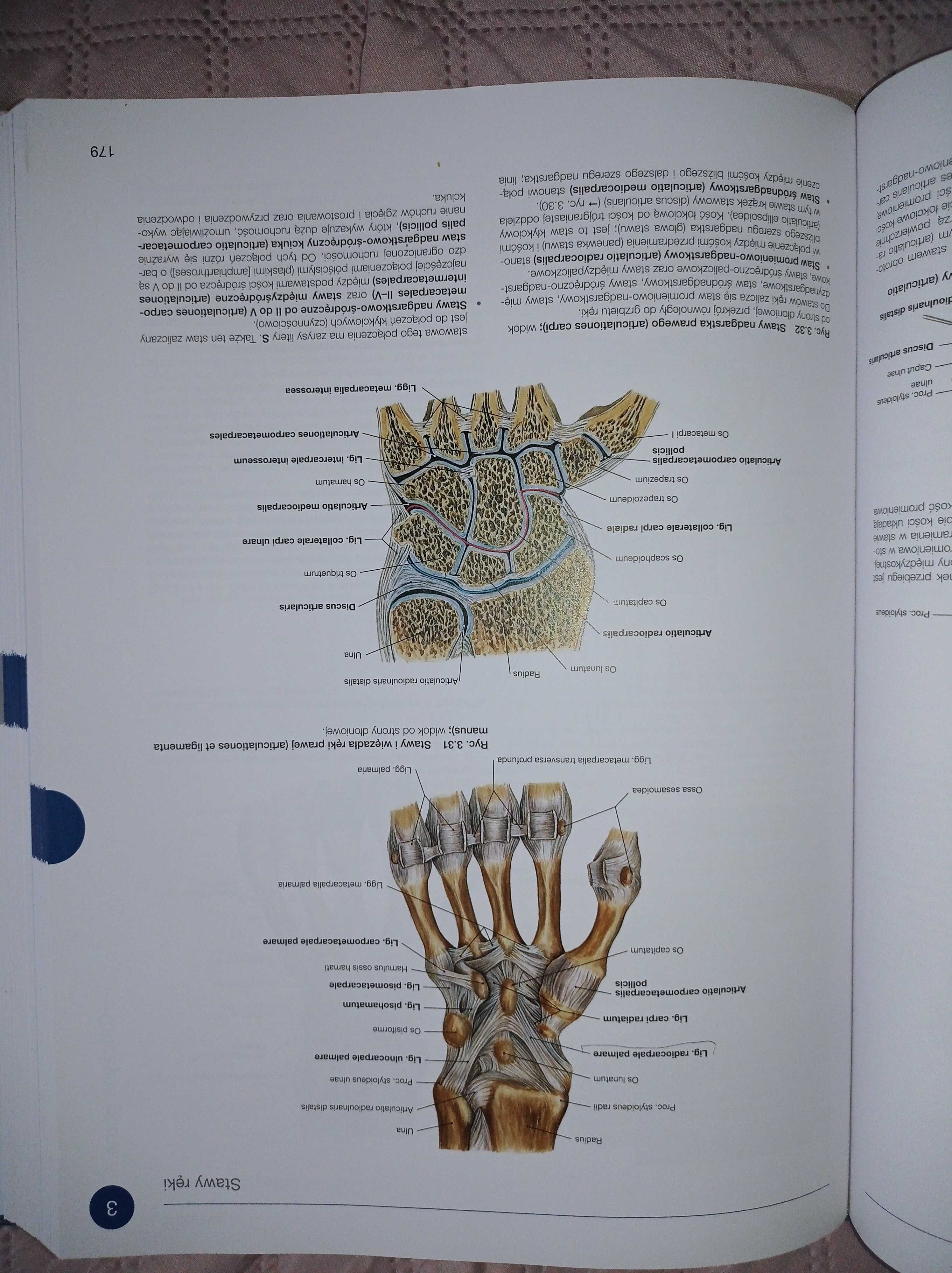 Zestwa atlasów anatomii człowieka Sobotta