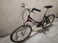 Unibike Travers rama 19 kola 26