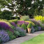 Jardineiro, serviços de jardinagem, jardins, gardener services, garden