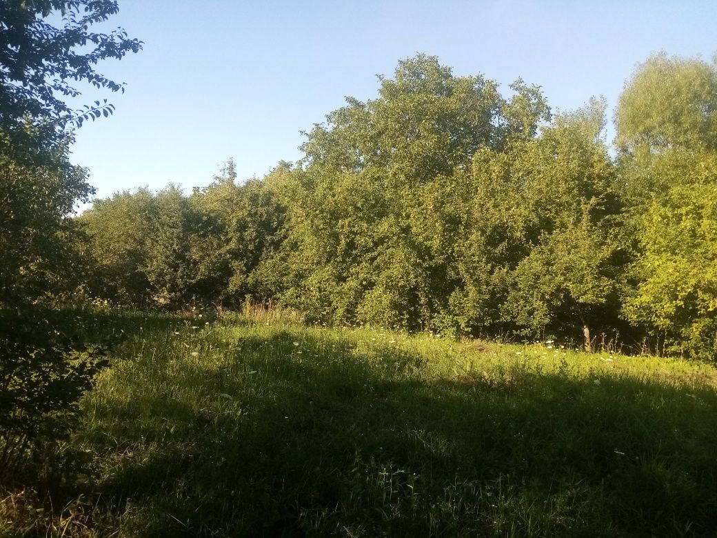 Продається дачна ділянка