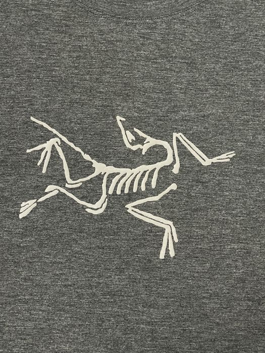 Arcteryx чоловіча трекінгова футболка XL