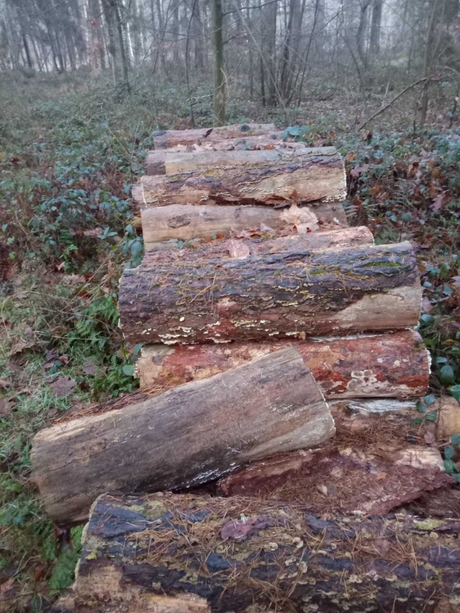 drzewo opałowe gałęziówka