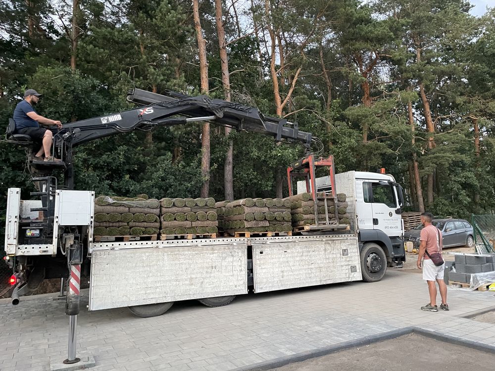 Trawnik z rolki PLANTACJA POZNAŃ / trawa w rolce/ trawa/ plantacja