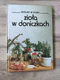 Zioła w doniczkach. Rośliny w domu