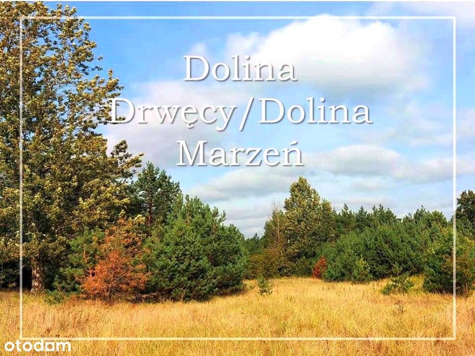 Ostatnie działki w Dolinie Drwęcy z m.p.z.p. z dostępem do strugi!