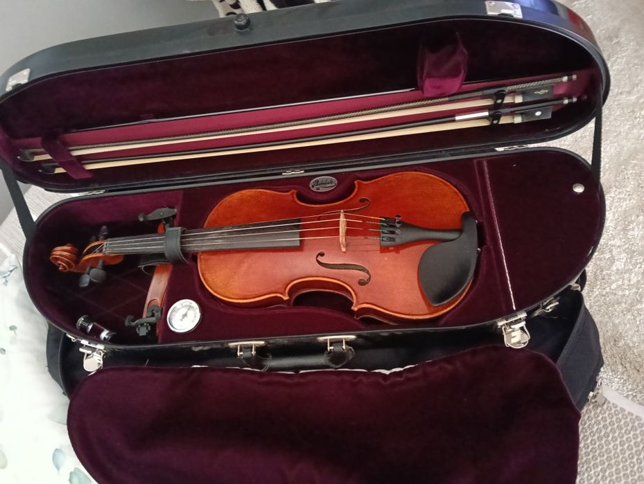 Violino carl de Luca 2017