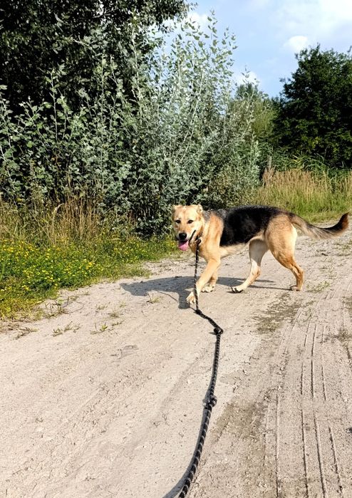Maja czeka na dom