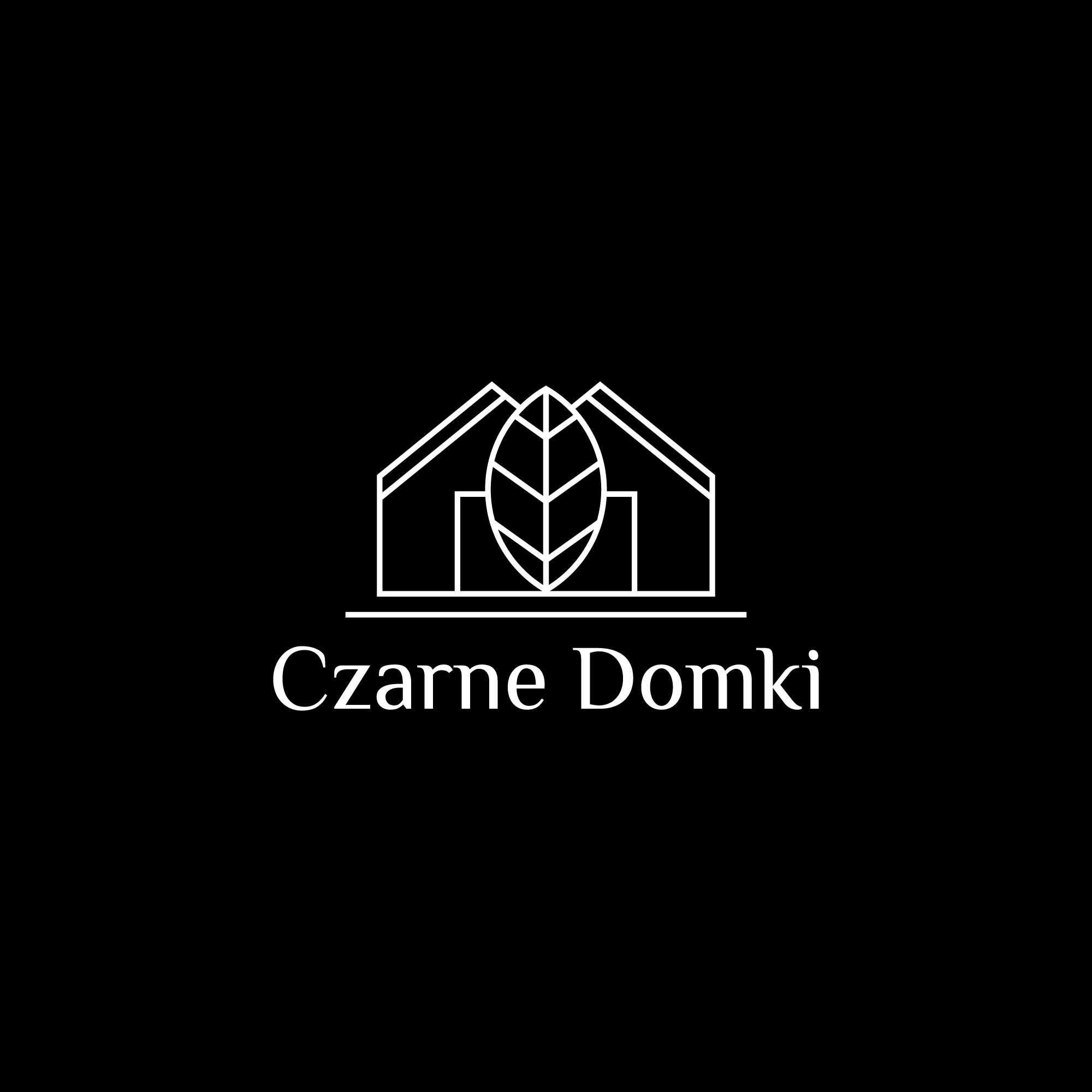 Czarne Domki nad jeziorem w Łagowie