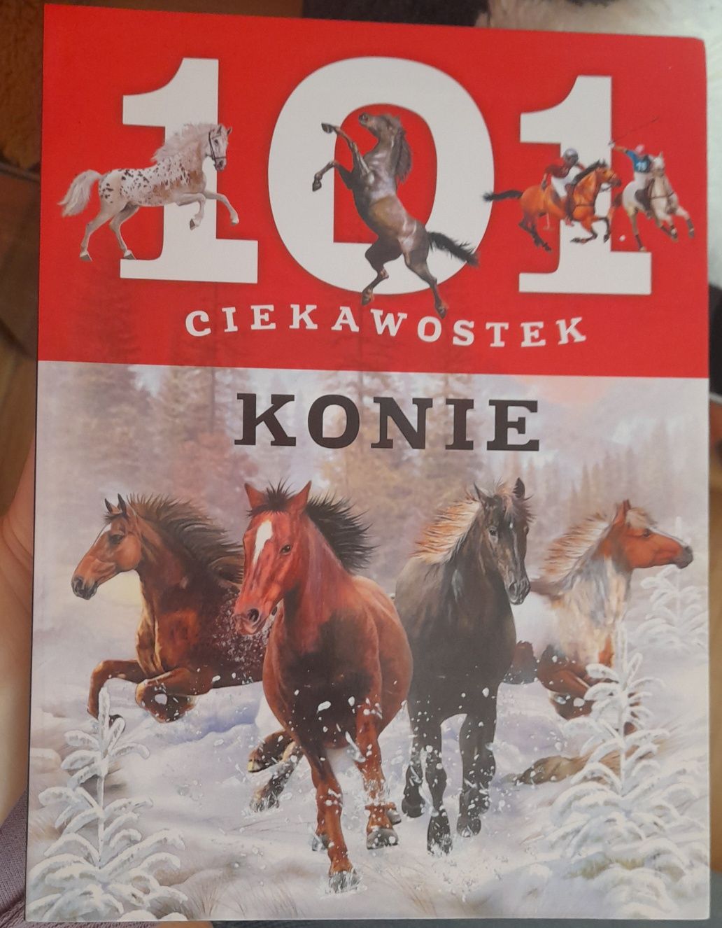 Książki o koniach