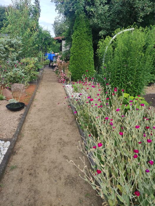 Działka Rod zadbana Krzyki Wrocław Złocień