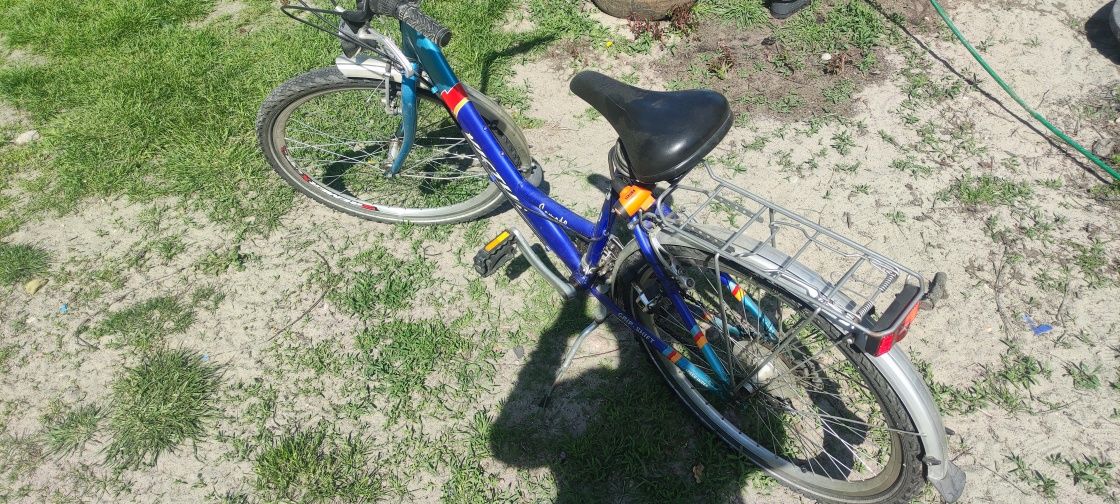 Rower damski Victus, Sparta, Pegasus, Gazelle, Batavus