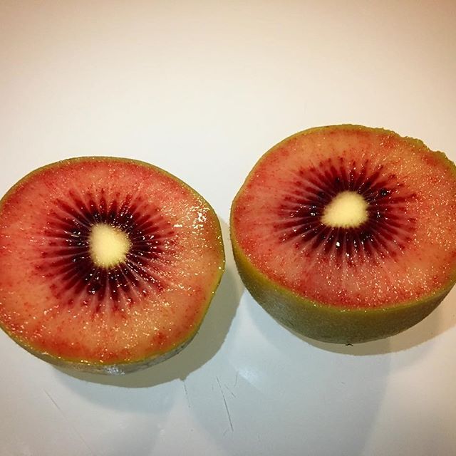 Kiwi Vermelho - MUITO DOCE - Planta viva de coleção