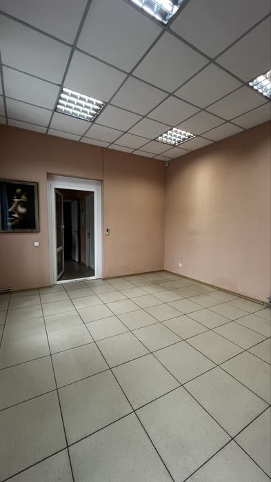 Здається офіс в Центрі