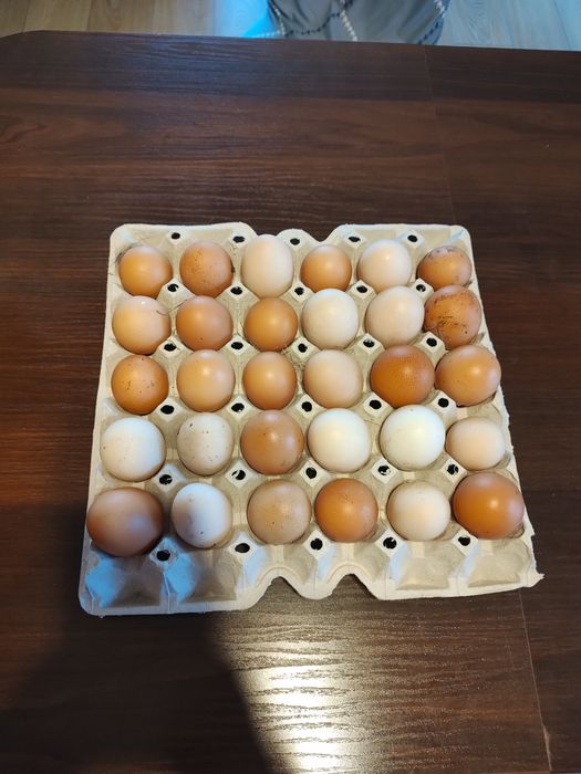 Sprzedaż jajek wiejskich