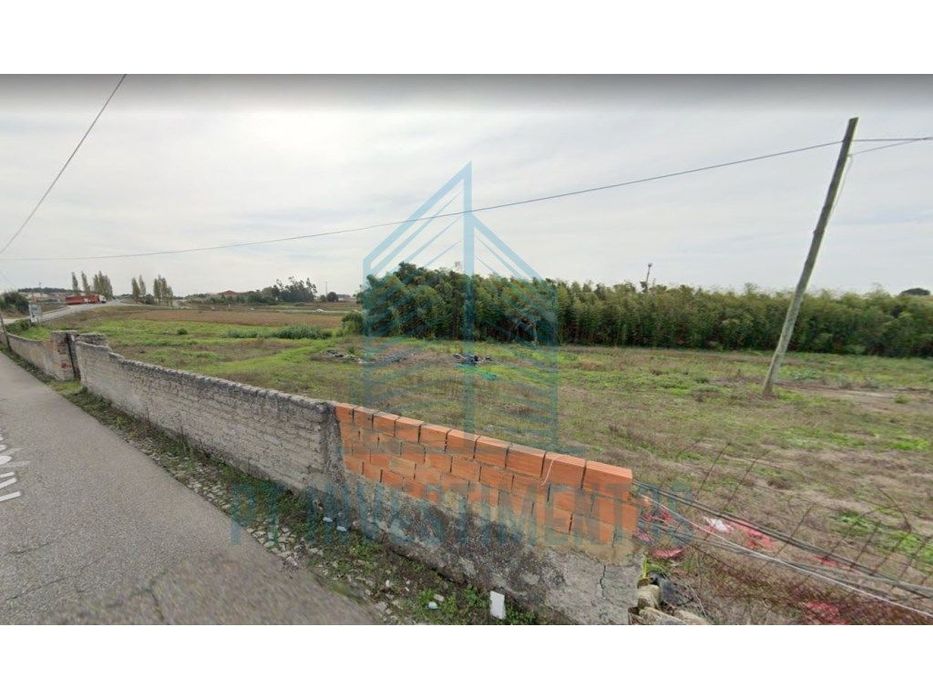 Quinta Com 24.000M² Em Aradas - Aveiro