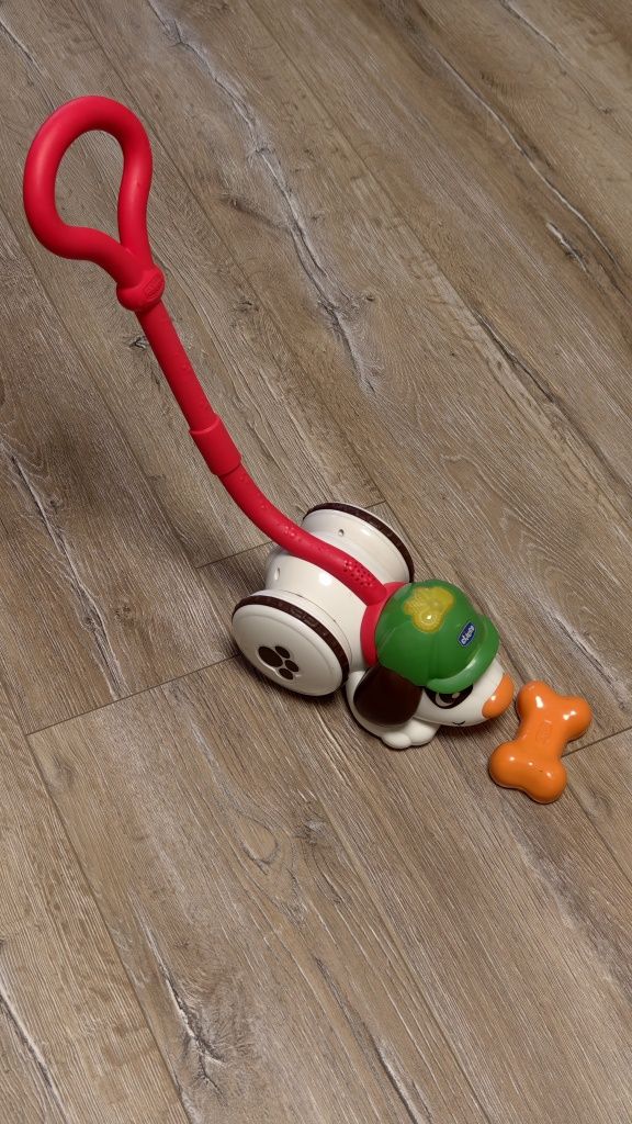 Собачка детектив chicco