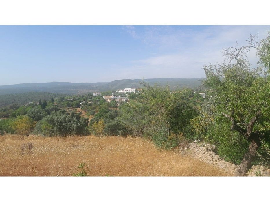 Terreno Rútico com 1570m2, Boliqueime, Loulé