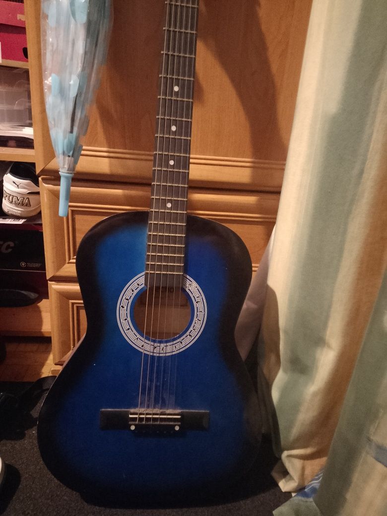Gitara marki Echo
