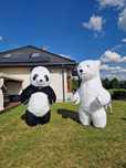 * Biały Miś & Panda dmuchany 2,5 m XXL przyjecia, wesela , urodziny *