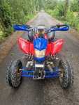Quad Bashan Atv BS200S-7