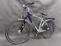 Rower RIxe LaRochelle_28"_Shimano_Nexus