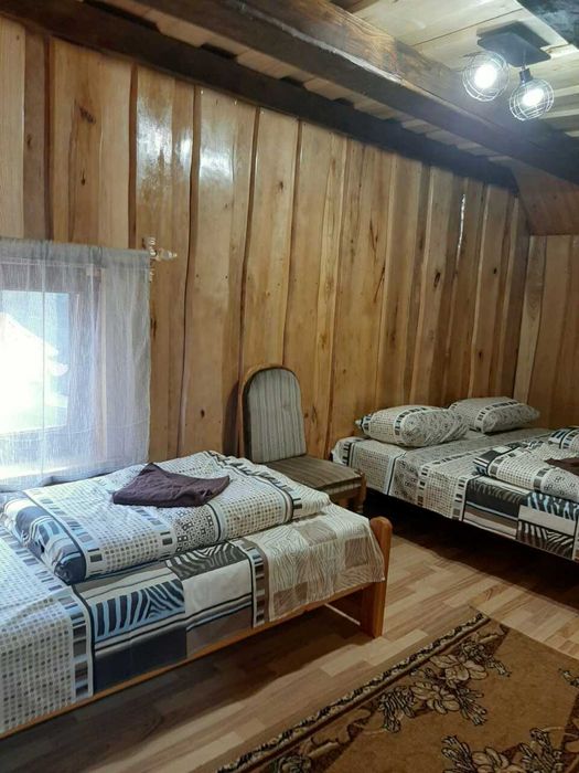 Берегове. с. Дийда  Котедж  VillaDAn, біля термальних басейнів