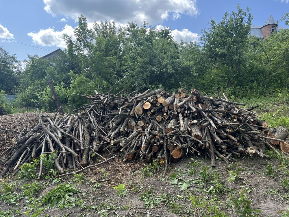 Продам фруктові дрова і щепу
