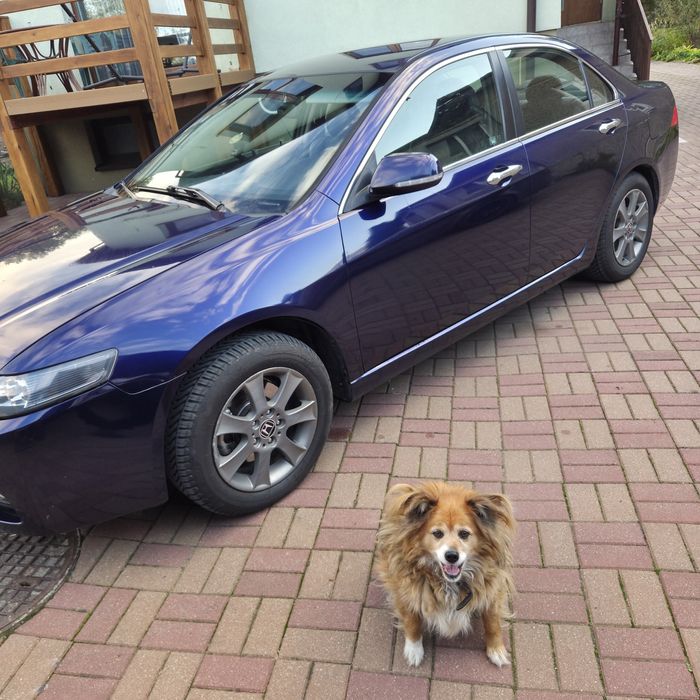 Honda Accord VII 2.0 LPG