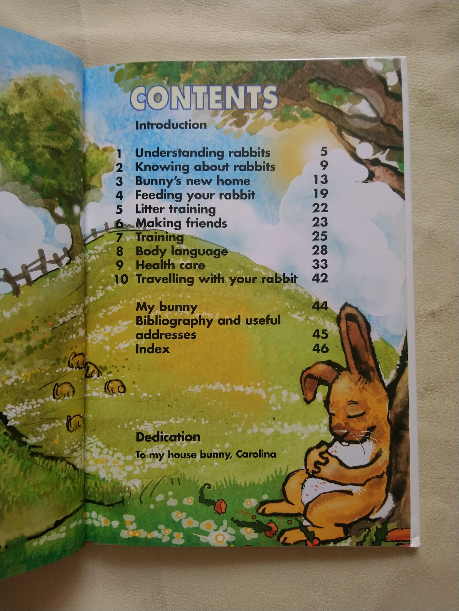 Книга The really useful Bunny Guide Carolina James