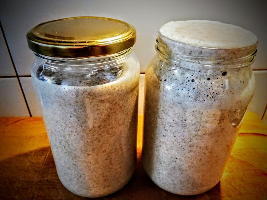 Szlachetny zakwas żytni 16 letni,bardzo mocny,idealny na pyszny chleb