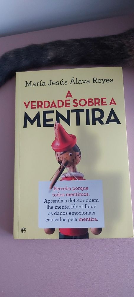 Livros variados como novos - ver descrição com títulos