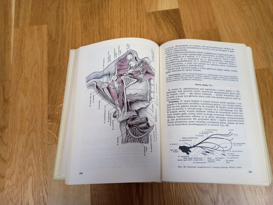 Anatomia człowieka Bochenek Reicher tom 5