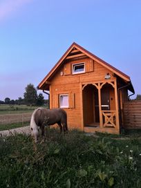 Domek z jacuzzi na wyłączność w cenie