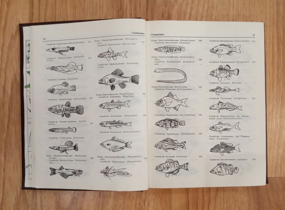 Декоративное рыбоводство. Кочетов А.М.