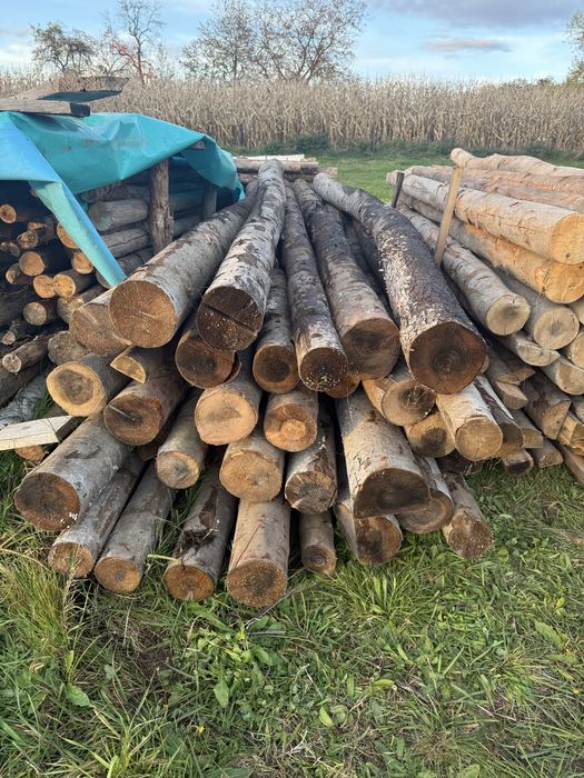 Stemple budowlane nowe solidne