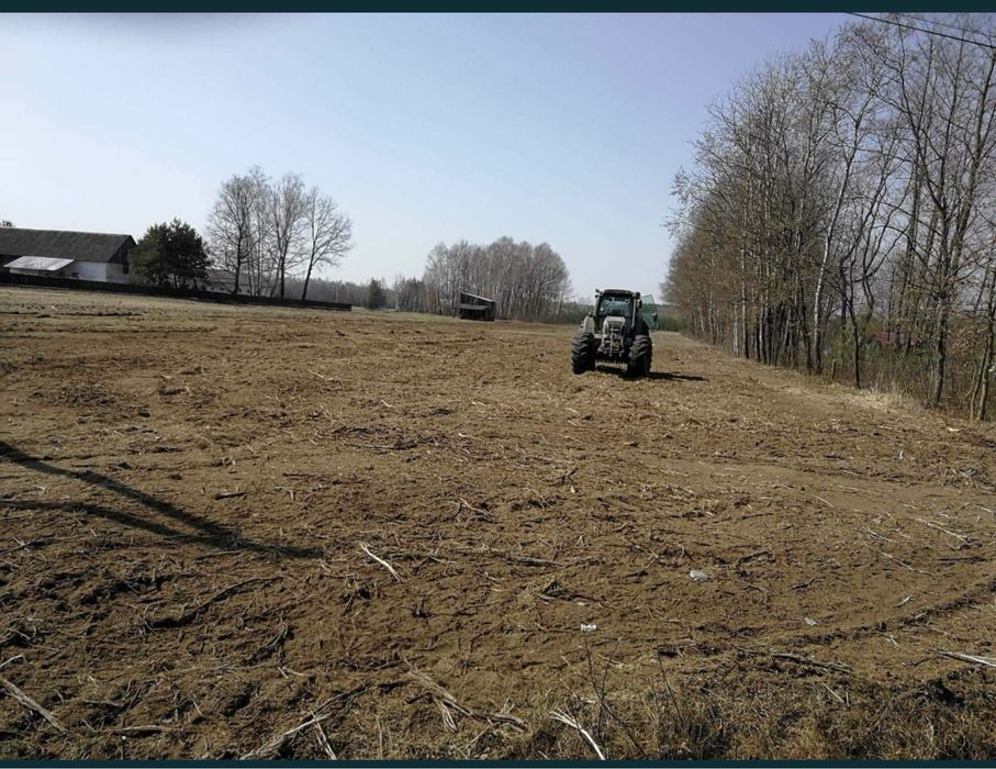 Wycinka alpinistyczna i pielegnacja drzew / czyszczenie dzialek