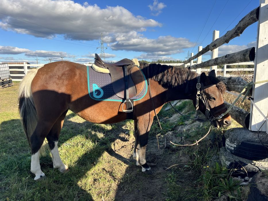 siodlo wszechstronne