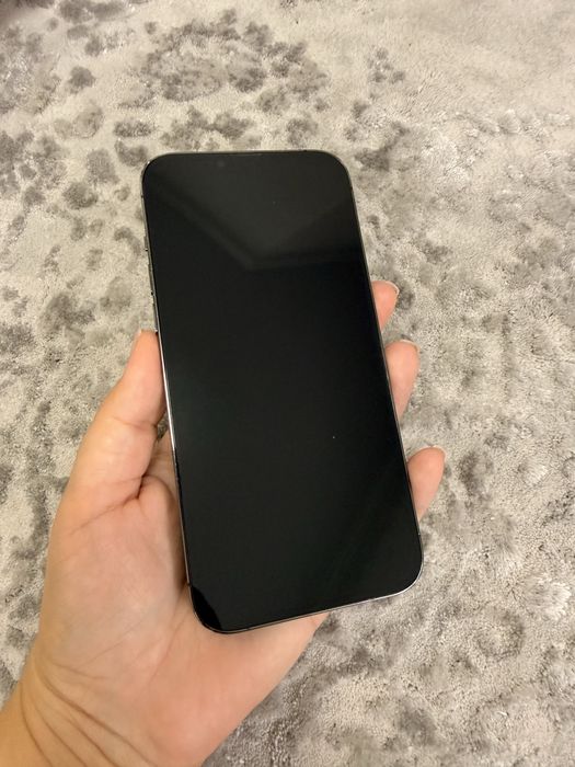 iPhone 13 Pro Max 256GB