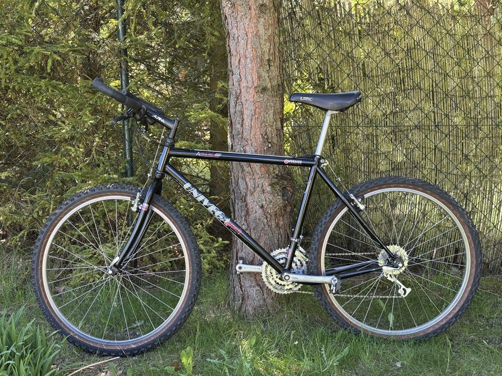 Univega Alpina Pro 1992 Tange 17" Shimano Deore DX Ritchey Retro MTB
