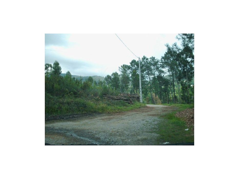 Terreno em Gondufe- Ponte de Lima